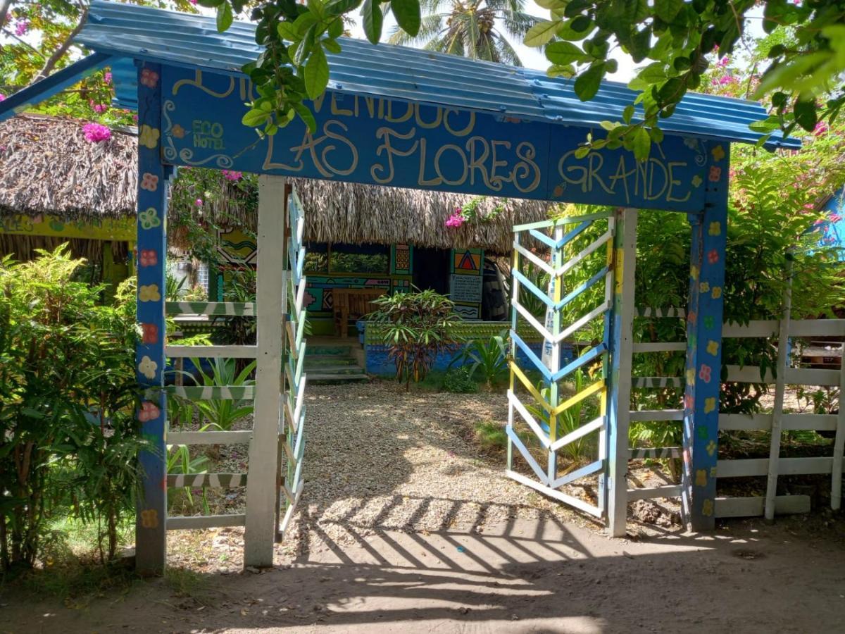 Flores Econativo