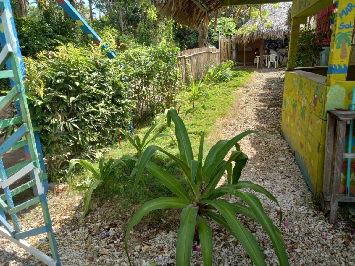 Flores Econativo