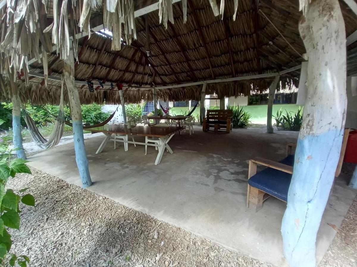 Flores Econativo Isla Grande (Cartagena)