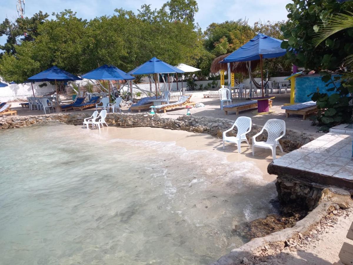 Lodge Flores Econativo *