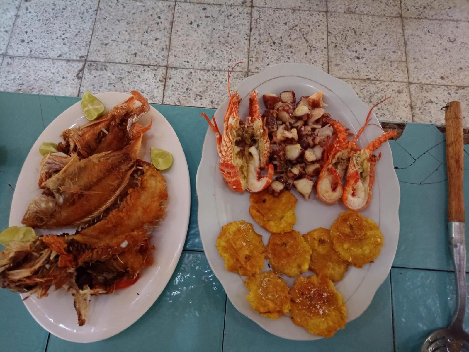 Lodge Flores Econativo
