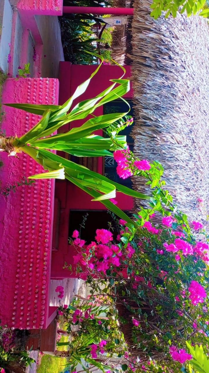 Lodge Flores Econativo *