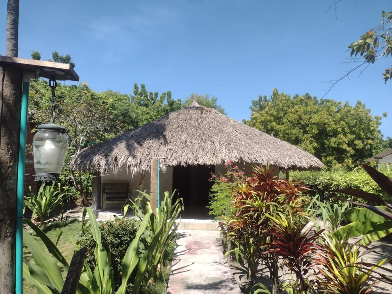 Flores Econativo Lodge Isla Grande (Cartagena)