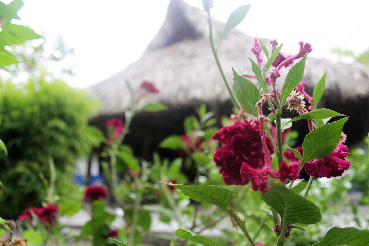 Flores Econativo Lodge Isla Grande (Cartagena)